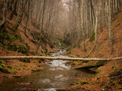 Nature, Goumenissa