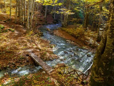 Waterfalls